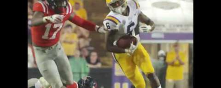 Terrace Marshall Jr.